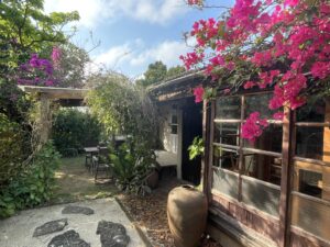 ブーゲンビリアに囲まれた建物と庭