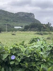 リビングから見える風景