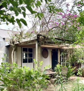 植物に囲まれた小さな庭